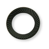 Schnorr Sicherungsscheibe M6 blank